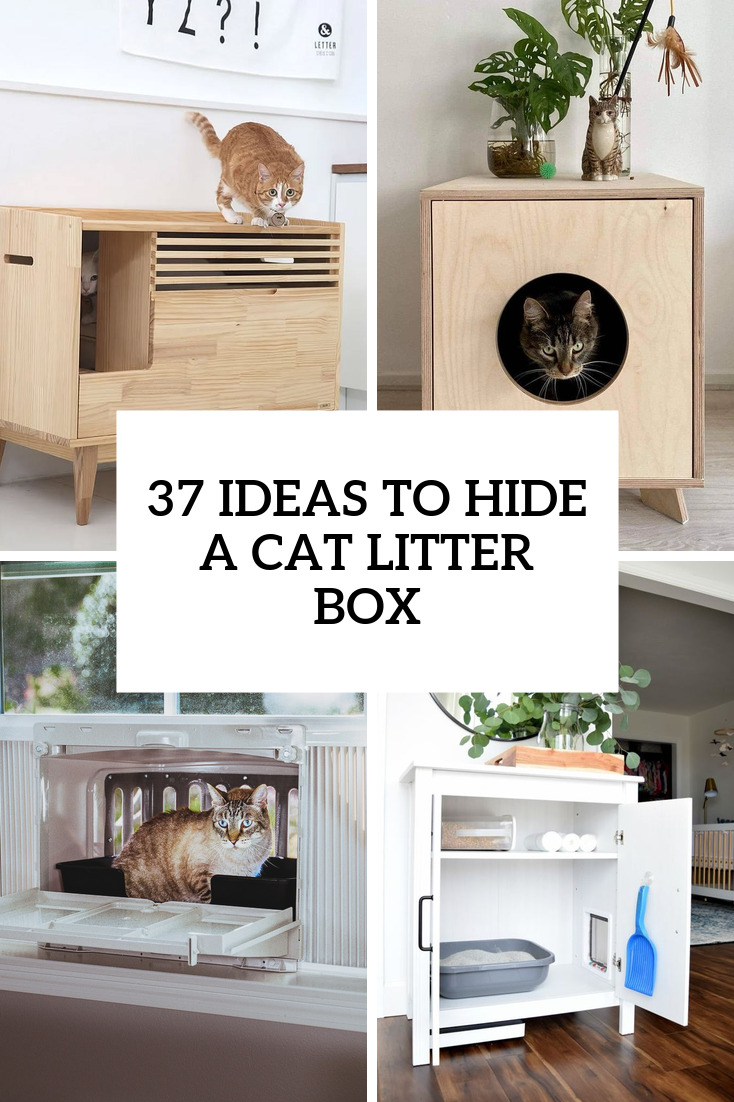 cool ways to hide a cat litter box cover