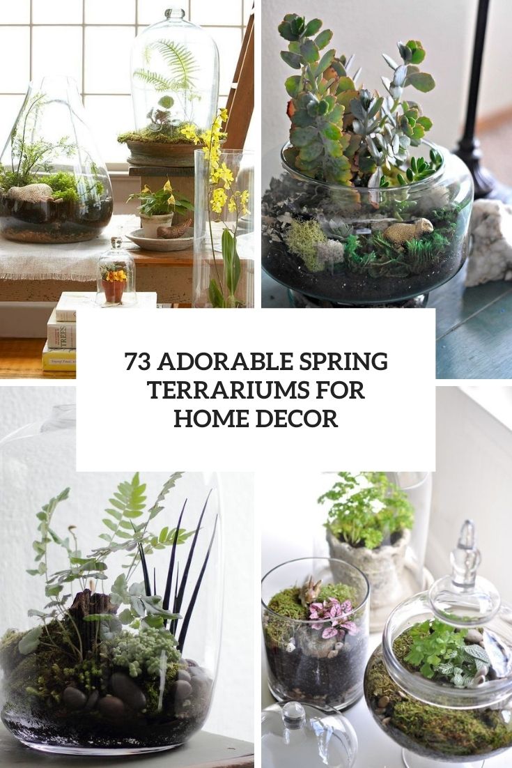 73 Adorable Spring Terrariums For Home Décor