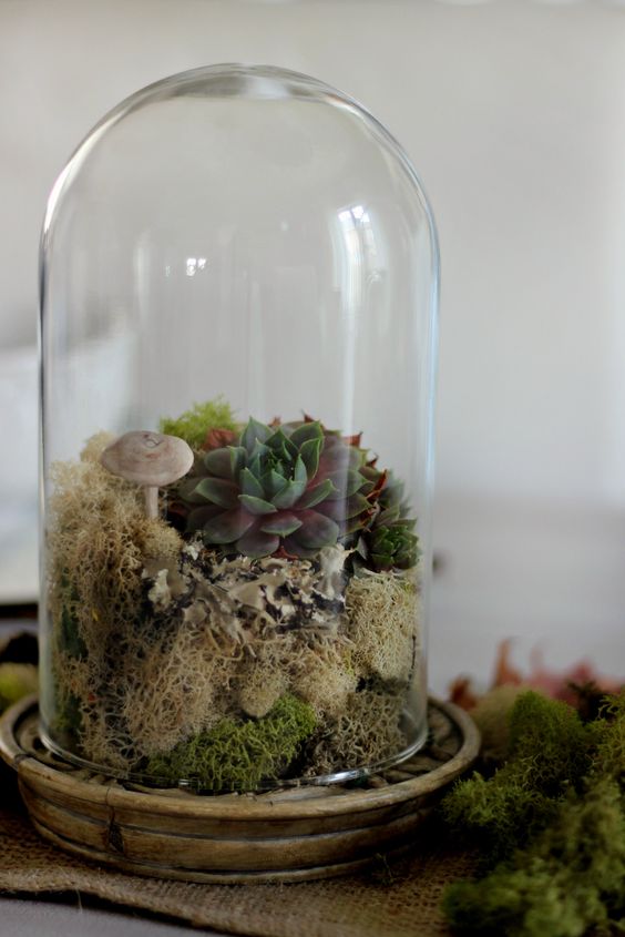 73 Adorable Spring Terrariums For Home Décor DigsDigs