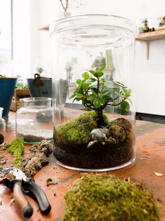 a jar with pebbles, moss and a mini tree is a lovely idea not only for spring but also for other seasons