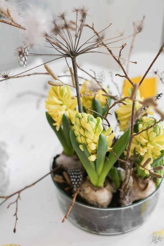 a metal bowl with yellow hyacinths, dried herbs and branches is a pretty rustic decor idea to rock