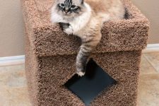 a small fluffy box with a cat litter box inside and cat bed on top is a timeless solution loved by many cats