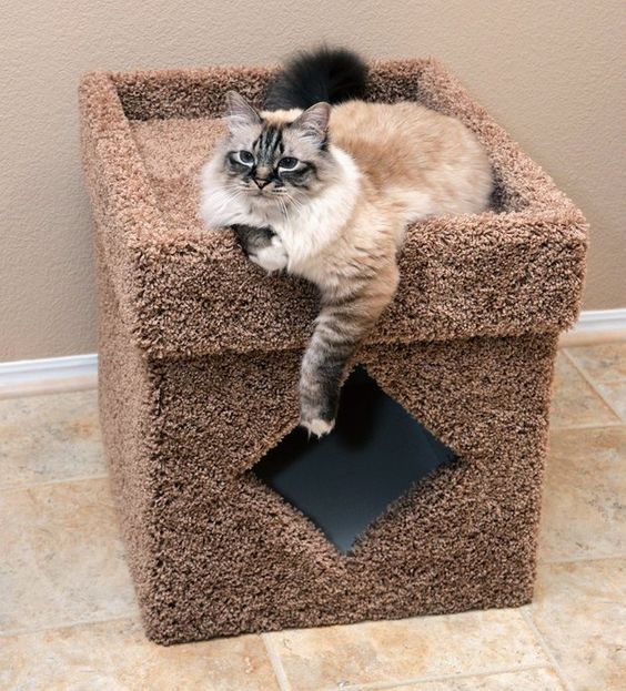 Litter discount box solutions
