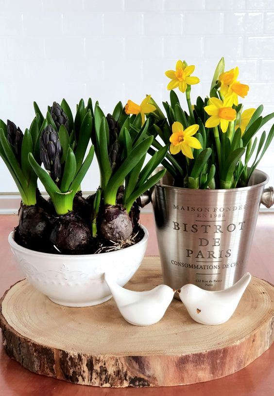 54 Cool Daffodils Décor Ideas To Spring DigsDigs