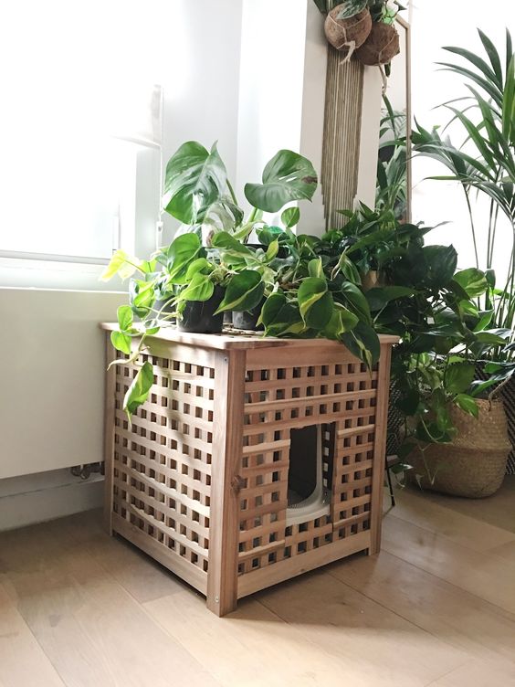 an IKEA Hol table hack with a cat litter box inside and lots of plants on top fulfills two functions