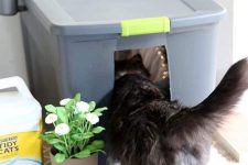an oversized plastic container covering a cat litter box is a simple and fast solution for a small cat
