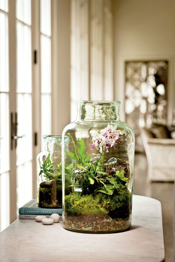 73 Adorable Spring Terrariums For Home Décor DigsDigs