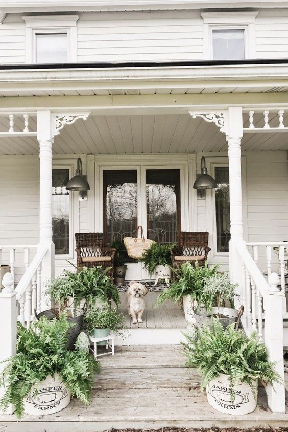 potted greenery in buckets and boxes are all you need to create a fresh spring feel on the porch