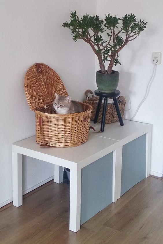 two IKEA Lack tables with paper covers, a cat litter box under them and a basket cat bed on top
