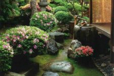 a beautiful Japanese garden with grass, rocks, blooms, a bamboo fountain and a stone lantern plus some low trees