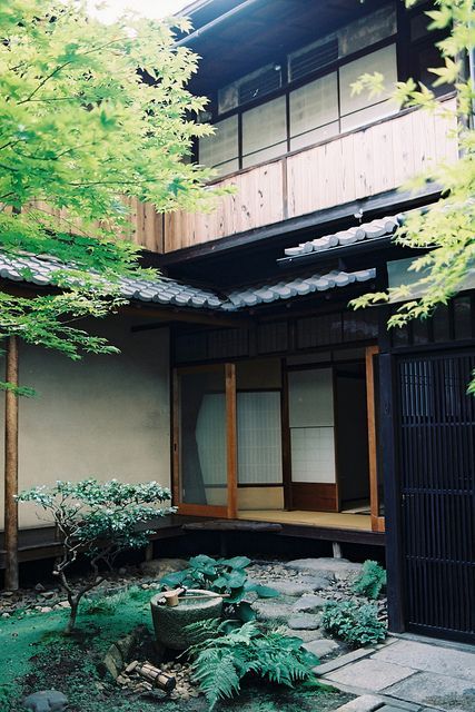 un mini patio japonés con guijarros, rocas, vegetación, un arbolito y un cuenco de piedra con agua es muy chulo