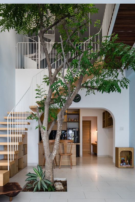 a real living tree integrated into the house decor is a very whimsy and very trendy idea for now