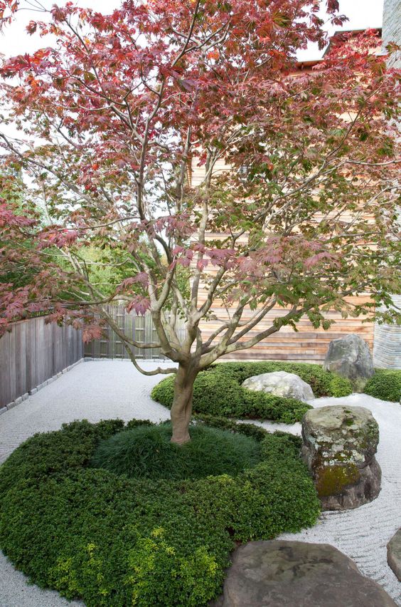 a simple Japanese courtyard with large rocks, grass and a single blooming tree in the center of the space