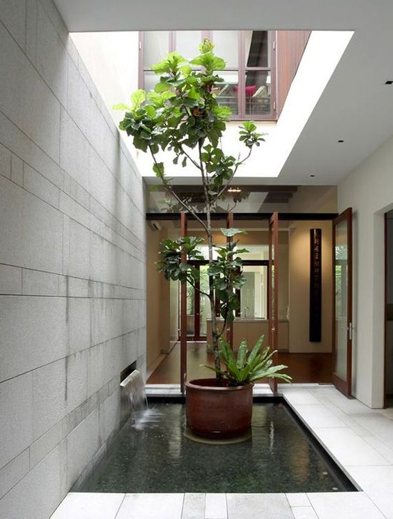 a simple inner courtyard with a waterfall, a pond and some potted plants that grow up to highlight the skylight