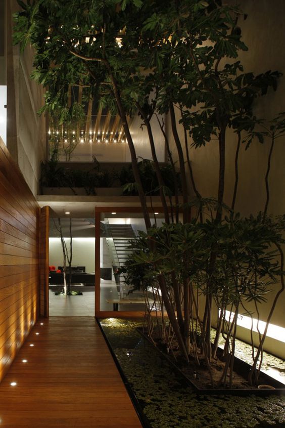 Stunning Indoor Courtyard Design Ideas DigsDigs