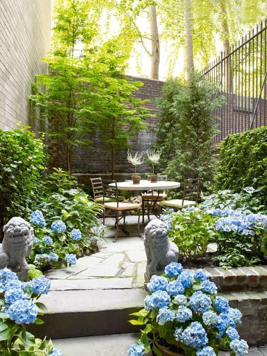 a small townhouse garden with trees, greenery, blue blooms, a contemporary dining set and Asian decor