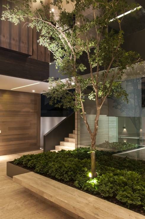 a stylish indoor courtyard with a large flower bed with greenery and a tree plus a bench attached to it
