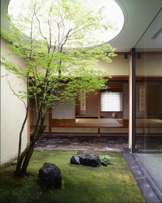 a zen indoor courtyard with some grass, rocks and a single tree growing up to the skylight for a traditional Japanese home