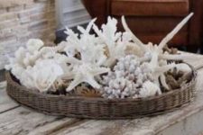 a basket tray with lots of seashells, starfish and corals is a nice decoration or centerpiece if you need one