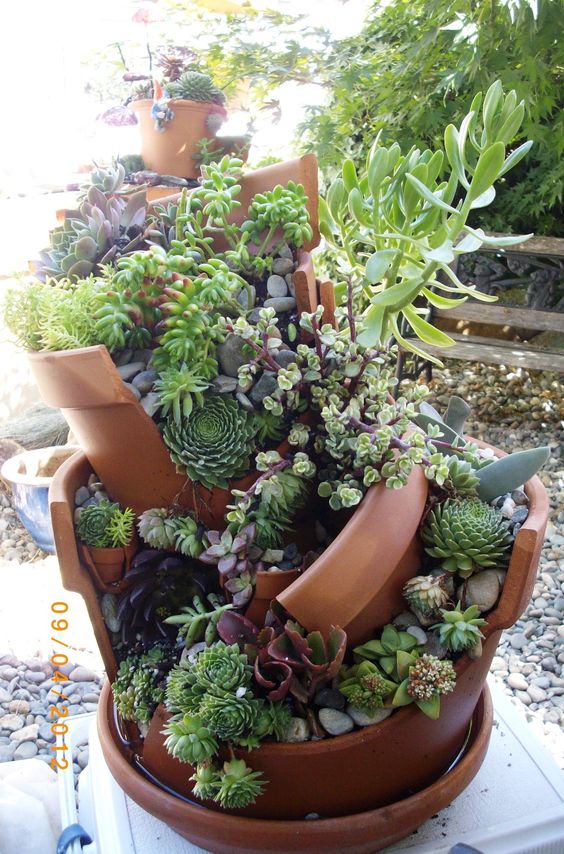 a creative planter with broken parts and lots of various succulents is a super creative and bold looking idea