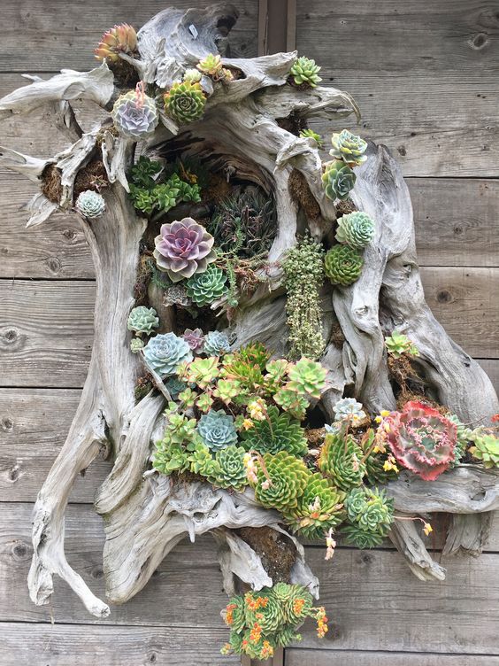 a driftwood piece with lots of succulents and greenery is beautiful and all-natural decor idea for outdoors