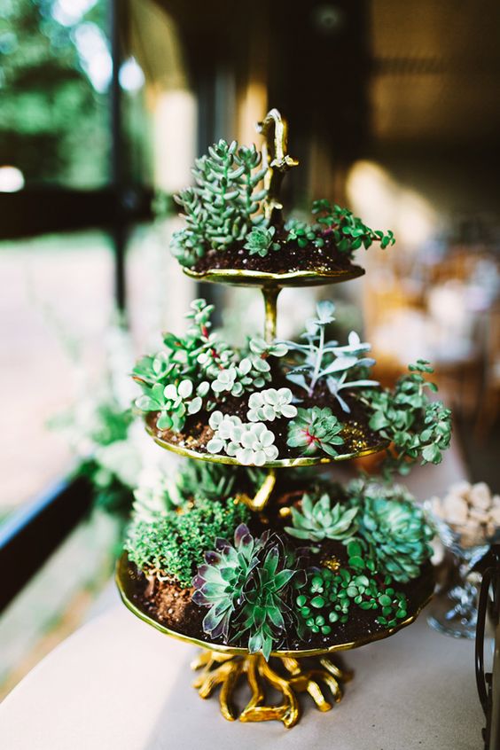 a gold tiered stand with lots of succulents here and there is a stylish vintage display with plenty of chic