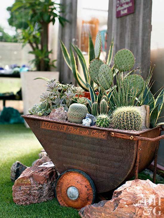 a large metal cart with succulents and cacti is a stylish and bold rustic decor idea for outdoors