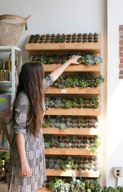 a large wooden succulent display shelf is a nice option for both indoors and outdoors, it looks modern and a bit rustic