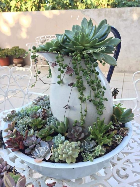 a metal bowl with succulents and a jug with them is a creative outdoor stand with plants, it will bring a rustic feel