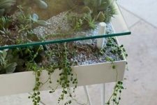 a modern table with hairpin legs as a giant planter with succulents and moss and a glass tabletop is amazing