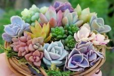 a vine wreath with colorful succulents and moss is a cute little decoration you may use anywhere