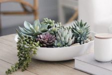 a white bowl with succulents of various colors is a stylish and sleek modern centerpiece or decoration