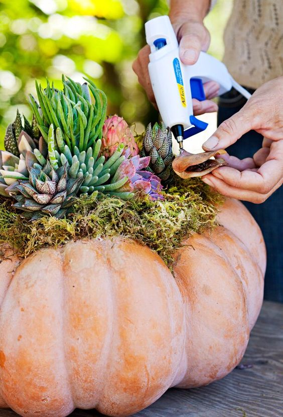a whitewashed pumpkin with moss and succulents is a gorgeous outdoor decoration for the fall