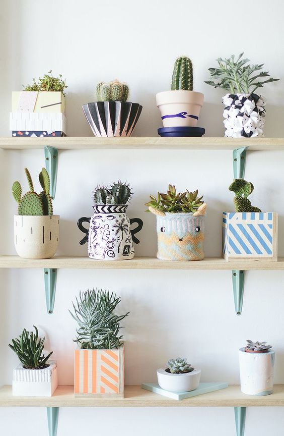 a whole arrangement of bright and fun planters of various patterns, looks and colors and cacti and succulents