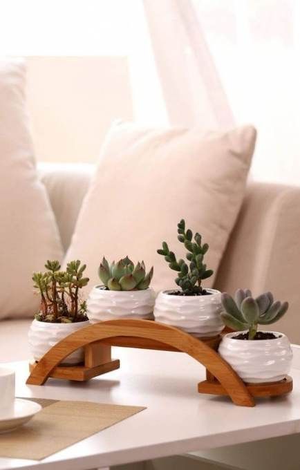 an arched wooden shelf with white textural planters and succulents in them is a stylish idea to rock