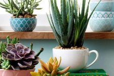 pretty printed bowls and teacups are great as pastel planters for succulents, use plants of various kinds