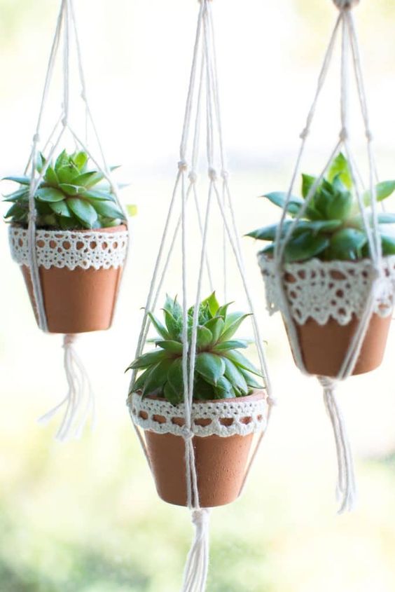 suspended planters with succulents are a very cool boho-inspired idea for displaying succulents