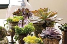vintage goblets and cups with moss and succulents are a refined and chic idea to rock for your home decor