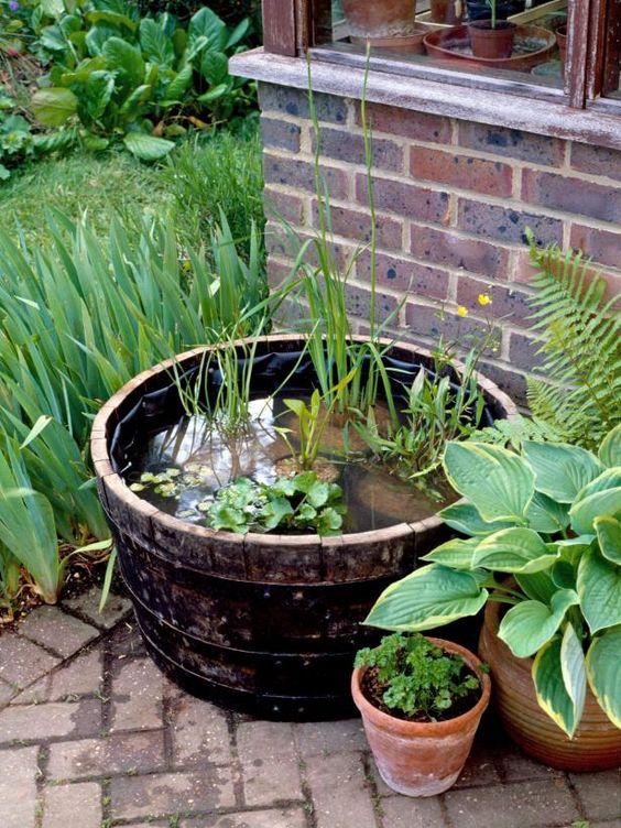 56 Awesome Mini Ponds To Complete Your Outdoor Décor DigsDigs