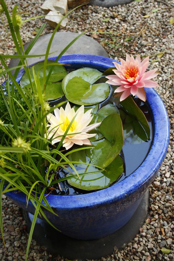 56 Awesome Mini Ponds To Complete Your Outdoor Décor DigsDigs