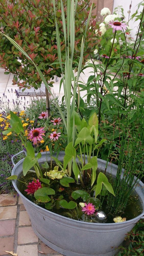 56 Awesome Mini Ponds To Complete Your Outdoor Décor DigsDigs