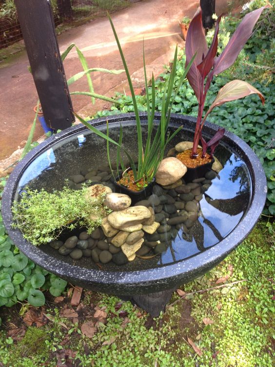 a large water bowl pond with pebbles and rocks and some greenery is a lovely and stylish outdoor decoration