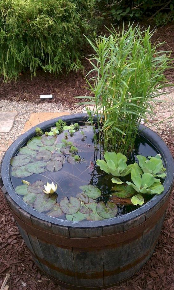 a wooden barrel with water lilies and greenery is a cool rustic idea for outdoor decor is easy to compose