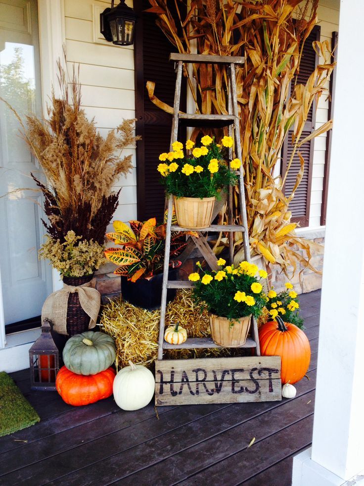 5 Outdoor Fall Decor Ideas to Showcase Through Thanksgiving