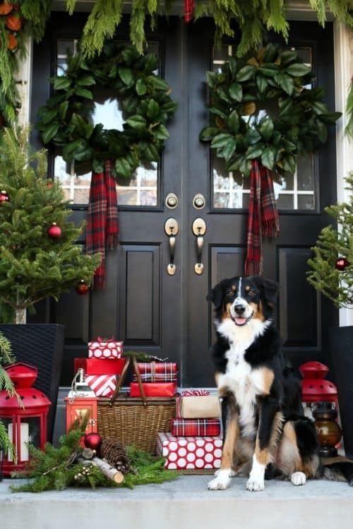 farmhouse Christmas front door with magnolia leaves wreaths and scarves, evergreen garlands, a Christmas tree with red ornaments and lots of gift boxes