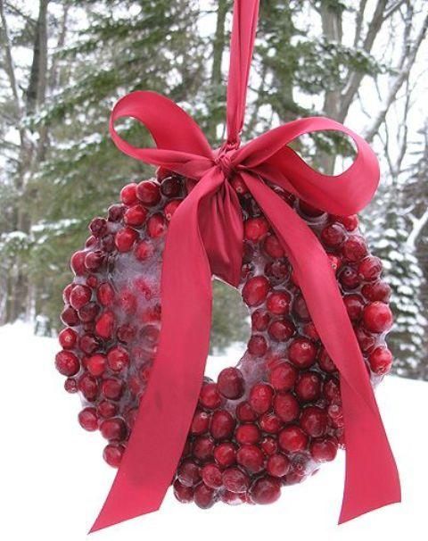 a bright red cranberry Christmas wreath topped with a red bow is a bold solution for a garden, it looks cool and adss color