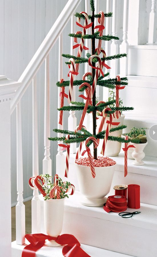 a potted Christmas tree with candy canes and a vase with greenery and candy canes will make your space look festive and fun