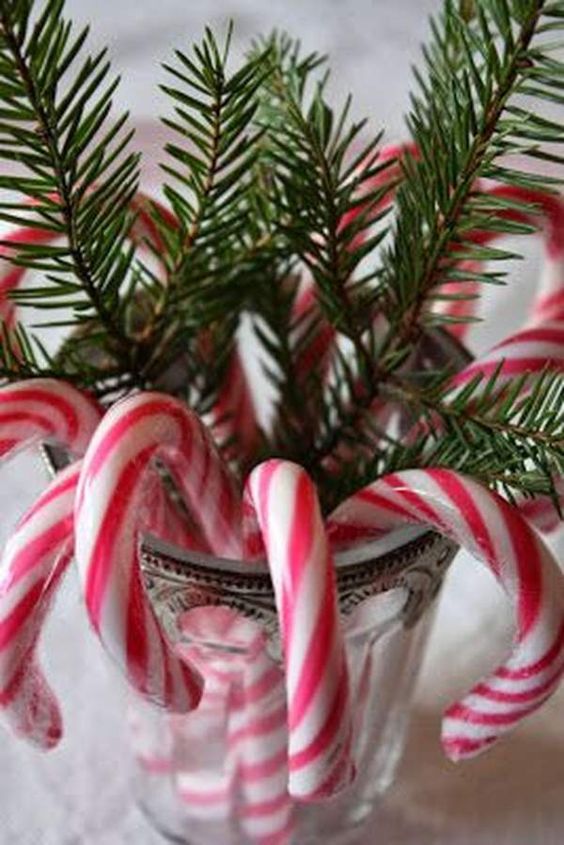 a simple Christmas decoration of a jar, fir branches and candy canes is a bold and lovely centerpiece to rock