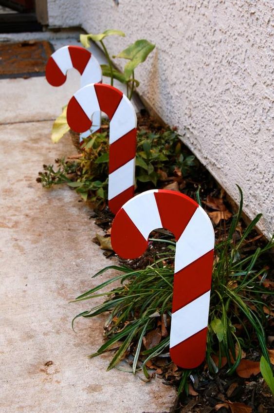 cool outdoor holiday decor - growing greenery accented with candy canes looks very bright and very cool