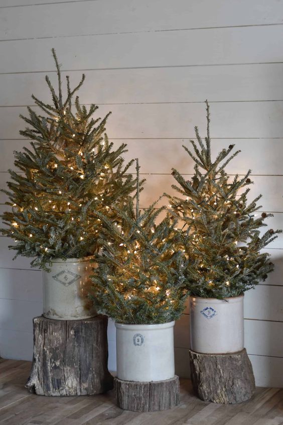 tree stumps with planters with Christmas trees and lights are a great idea for styling your space for the holidays